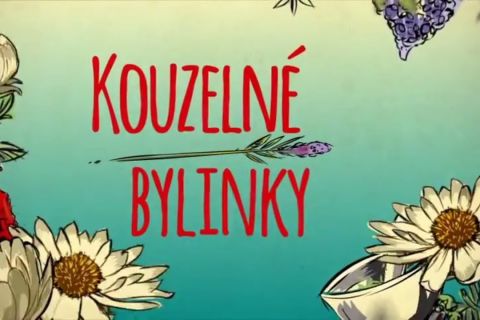 Obrázek: aktuality/kouzelne-bylinky.jpg